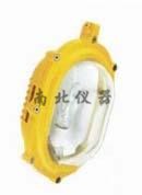 內(nèi)場(chǎng)強(qiáng)光防爆燈