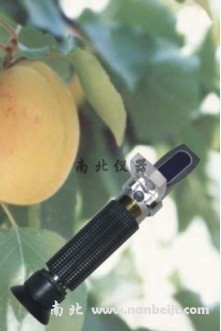 WZ109水果糠度計