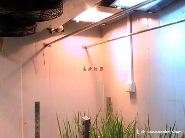 人工補(bǔ)光型氣候室